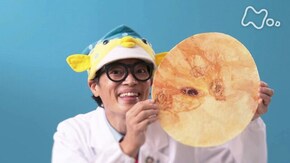 さかなクンのたこせんべい