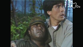 第35回 兄弟対決