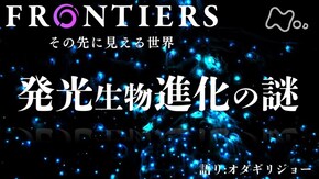 発光生物 進化の謎