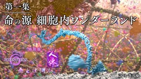 人体 特別版 第一集 命の源 細胞内ワンダーランド