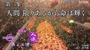 人体 特別版 第二集 人間 限りあるから命は輝く