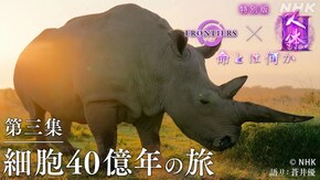 人体 特別版 第三集 細胞40億年の旅