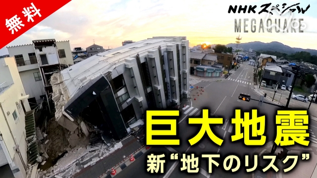 ＭＥＧＡＱＵＡＫＥ　巨大地震　“軟弱地盤”　新たな脅威