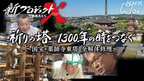 祈りの塔 1300年の時をつなぐ~国宝薬師寺東塔 全解体修理
