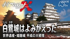 白鷺城はよみがえった ~世界遺産・姫路城 平成の大修理~