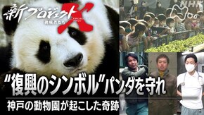 “復興のシンボル”パンダを守れ~神戸の動物園が起こした奇跡~