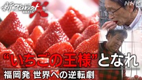“いちごの王様”となれ ~福岡発 世界への逆転劇~