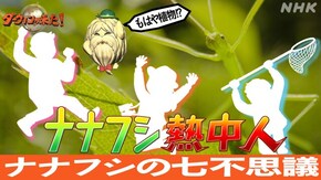 「シリーズ熱中人 もはや植物!?ナナフシの七不思議」