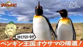 「ペンギン王国 オウサマの帰還!」