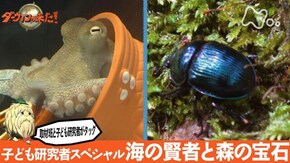 「子ども研究者スペシャル 海の賢者と森の宝石」