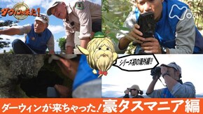 「ダーウィンが来ちゃった!豪・タスマニア編」