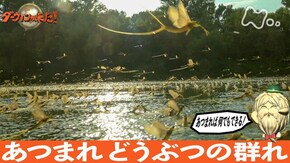「あつまれ どうぶつの群れ」