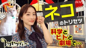 「ネコ」のトリセツ 科学とヒトと劇場で…