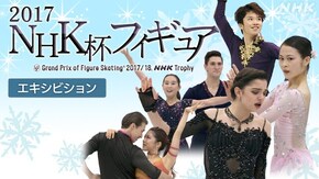 2017 エキシビション
