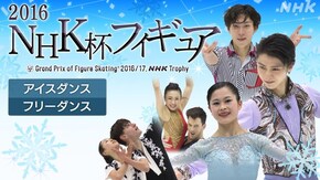 2016 アイスダンス フリー