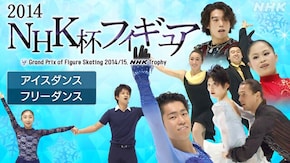 2014 アイスダンス フリー