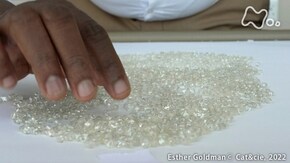 「知られざるナミビア -天然資源大国のいま-」