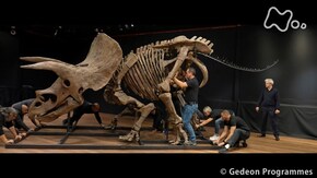 「ジュラシック・キャッシュ “恐竜化石オークション”の舞台裏」