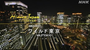 ワイルド東京