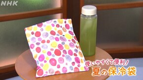 使いやすくて便利!夏の保冷袋