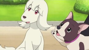 #22 犬も歩けば黒魔女さん?!