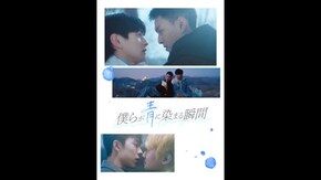 予告編