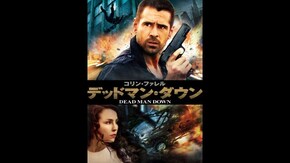 予告編