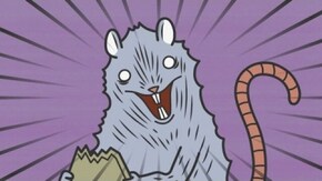 5さやめ~8さやめ