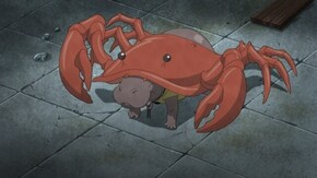 第6話 ハハはカニ カバはサイ
