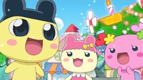 第109回~第113回