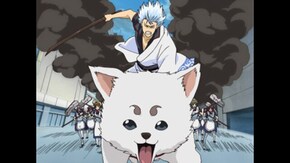 第70話 可愛いモノも多すぎると気持ち悪い