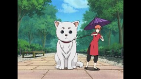 第72話 犬の肉球はこうばしい匂いがする/かもしれない運転でいけ