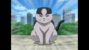 第190話 捜しものをする時はそいつの目線になって捜せ