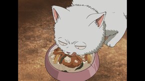 第191話 自由とは無法ではなく己のルールで生きること