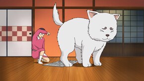 第230話 ここのタイトルもメールのタイトルみたいなトコも考えるのメンド臭え