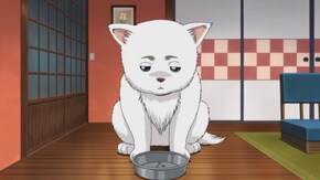 第265話 ドッグフードは見た目より味がうすい