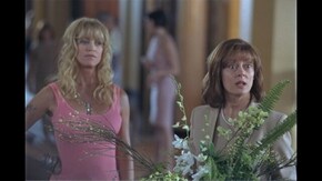 バンガー・シスターズ