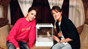 TAKARAZUKAあにまるハウス#8「諏訪さき・眞ノ宮るい」