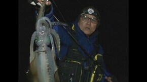 屋久島の赤い悪魔 レッドモンスターを追え!