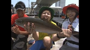 激的!大阪夏の陣 海上釣り掘でてんやわんや