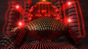 TERRAPIN LAND テラピンランド (2024)