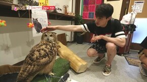 エピソード15