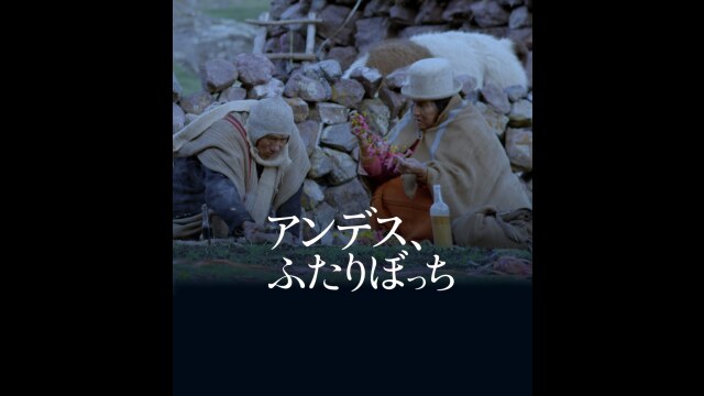 予告編