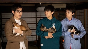 Cat Sharehouse 8 猫は、嫉妬しない