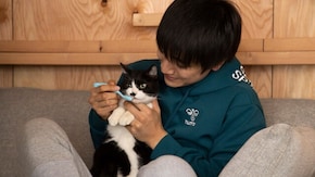 Cat Sharehouse 9 猫は、いつも冒険家だ