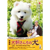 木南 晴夏の出演動画まとめ 初月無料 動画配信サービスのビデオマーケット 木南 晴夏の出演動画まとめ 初月無料 動画配信サービスのビデオマーケット