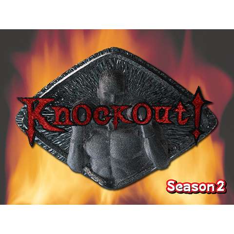 Knockout! Season2