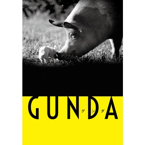 GUNDA/グンダ
