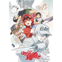 川澄 綾子の出演動画まとめ 初月無料 動画配信サービスのビデオマーケット 川澄 綾子の出演動画まとめ 初月無料 動画配信サービスのビデオマーケット