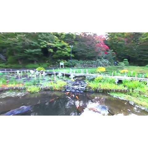 藤田記念庭園～Fujita Memorial Japanese Garden～